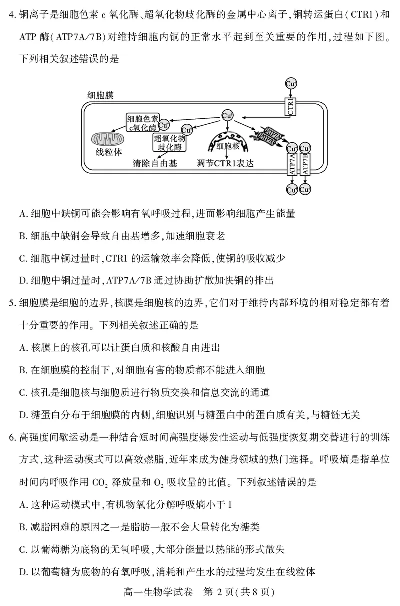 恩施州普通高中2024-2025学年高一质量监测考试生物_2024-2025高一（7-7月题库）_2025年7月_250717湖北省恩施州普通高中2024-2025学年高一质量监测考试（全科）