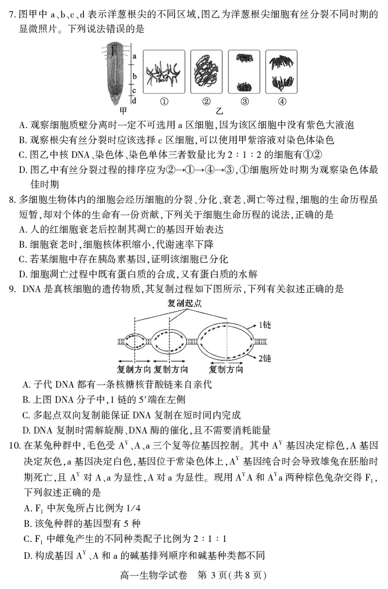 恩施州普通高中2024-2025学年高一质量监测考试生物_2024-2025高一（7-7月题库）_2025年7月_250717湖北省恩施州普通高中2024-2025学年高一质量监测考试（全科）