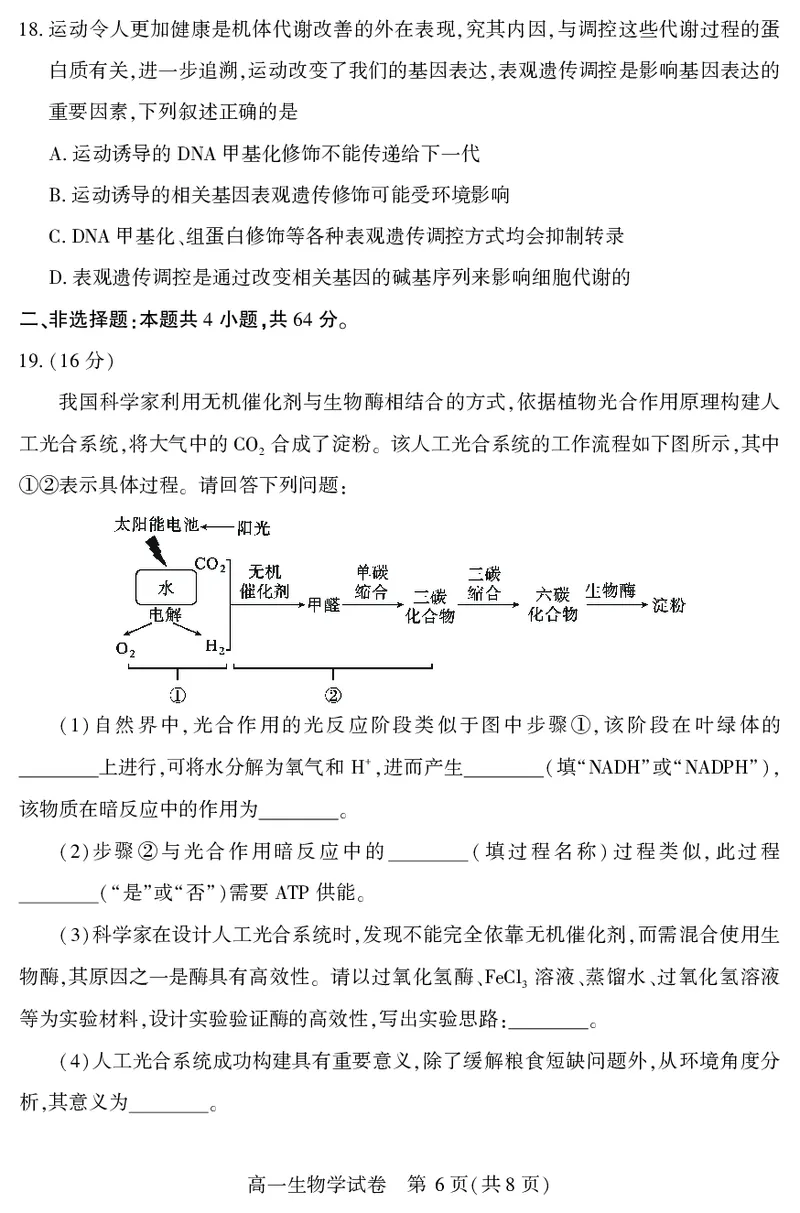 恩施州普通高中2024-2025学年高一质量监测考试生物_2024-2025高一（7-7月题库）_2025年7月_250717湖北省恩施州普通高中2024-2025学年高一质量监测考试（全科）