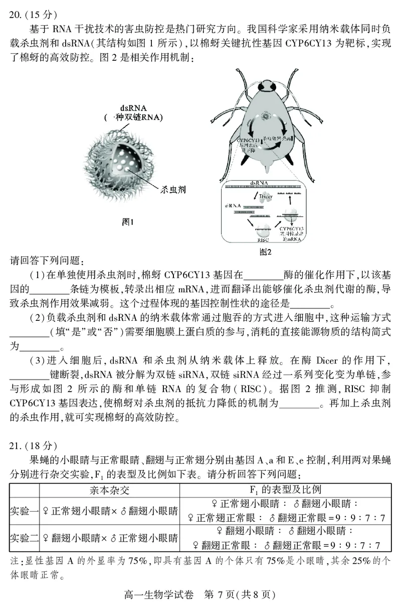恩施州普通高中2024-2025学年高一质量监测考试生物_2024-2025高一（7-7月题库）_2025年7月_250717湖北省恩施州普通高中2024-2025学年高一质量监测考试（全科）