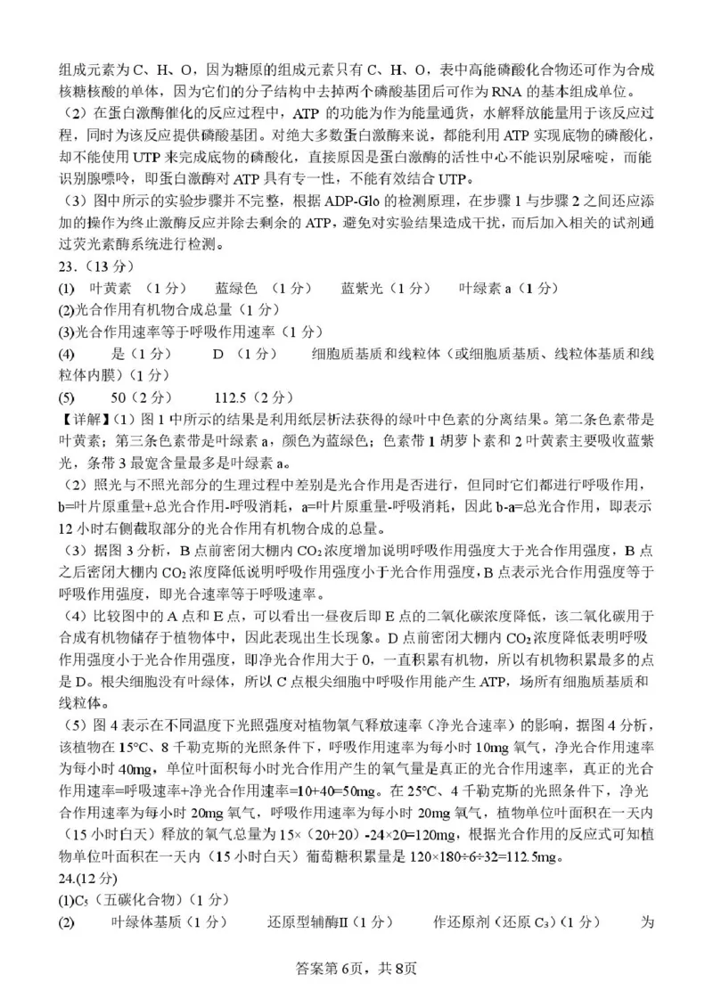 山东省潍坊市诸城繁华中学2025-2026学年高一上学期12月质量检测生物试卷（图片版，含解析）_2024-2025高一（7-7月题库）_2026年1月高一