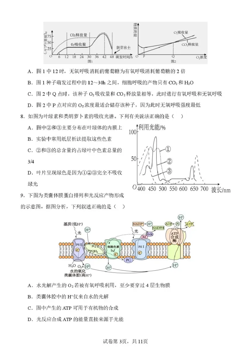 山东省潍坊市诸城繁华中学2025-2026学年高一上学期12月质量检测生物试卷（图片版，含解析）_2024-2025高一（7-7月题库）_2026年1月高一