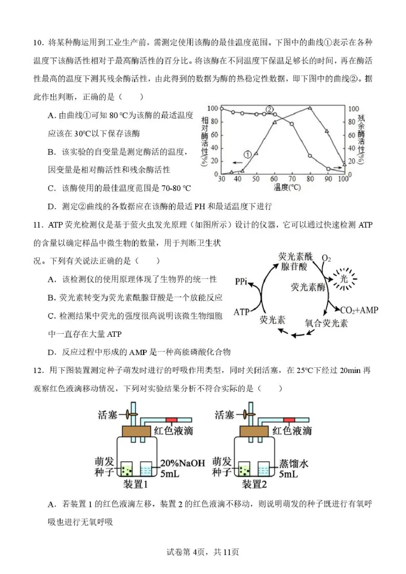 山东省潍坊市诸城繁华中学2025-2026学年高一上学期12月质量检测生物试卷（图片版，含解析）_2024-2025高一（7-7月题库）_2026年1月高一
