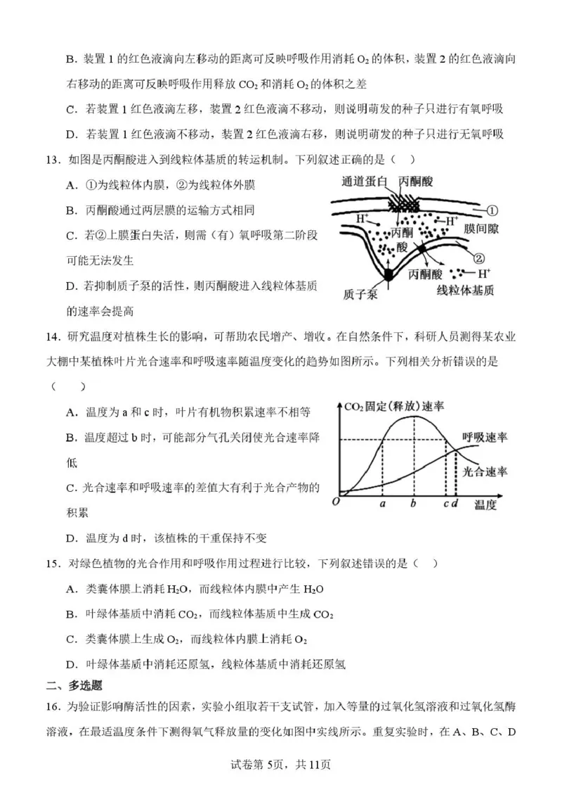山东省潍坊市诸城繁华中学2025-2026学年高一上学期12月质量检测生物试卷（图片版，含解析）_2024-2025高一（7-7月题库）_2026年1月高一