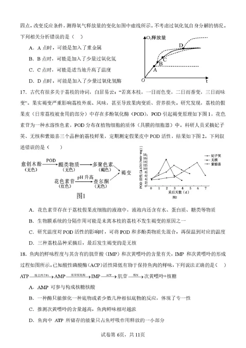 山东省潍坊市诸城繁华中学2025-2026学年高一上学期12月质量检测生物试卷（图片版，含解析）_2024-2025高一（7-7月题库）_2026年1月高一