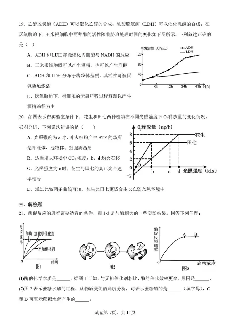 山东省潍坊市诸城繁华中学2025-2026学年高一上学期12月质量检测生物试卷（图片版，含解析）_2024-2025高一（7-7月题库）_2026年1月高一