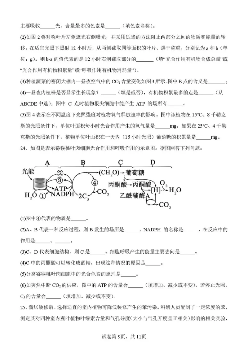 山东省潍坊市诸城繁华中学2025-2026学年高一上学期12月质量检测生物试卷（图片版，含解析）_2024-2025高一（7-7月题库）_2026年1月高一