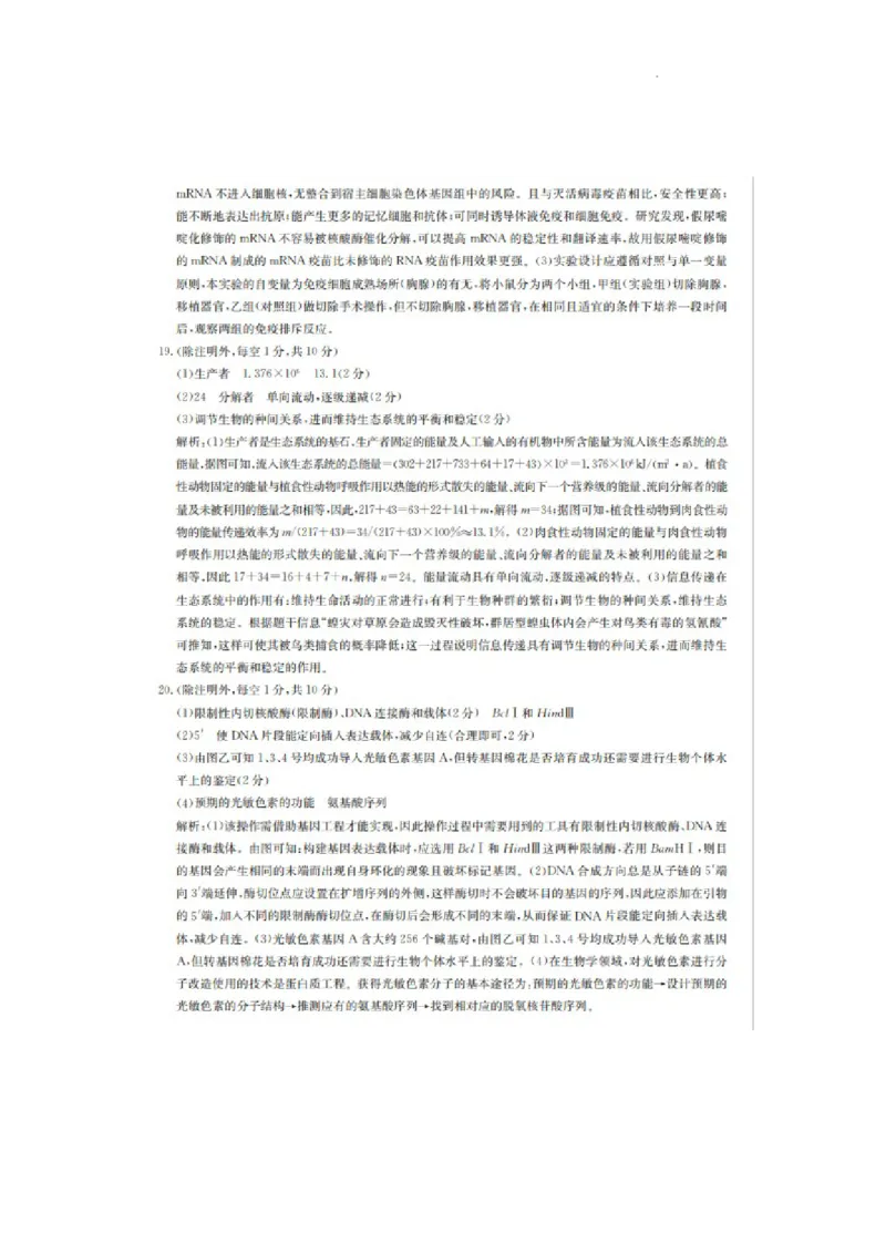 参考答案_2024年5月_01按日期_12号_2024届安徽省合肥一中等校5月高考适应性联考_安徽省合肥市部分学校2024届高三下学期三模试题生物PDF版含答案