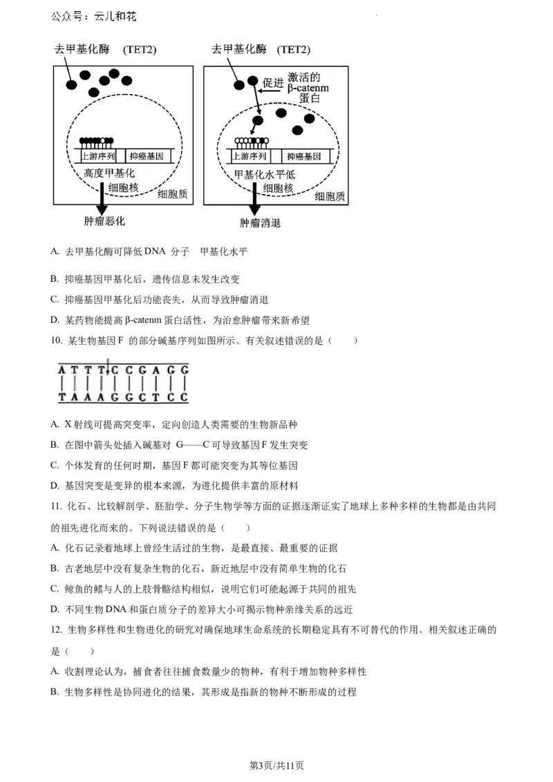 广东省东莞市2023-2024学年高一下学期7月期末生物试题_2024-2025高一（7-7月题库）_2024年8月试卷_0820广东省东莞市2023-2024学年高一下学期期末教学质量检查