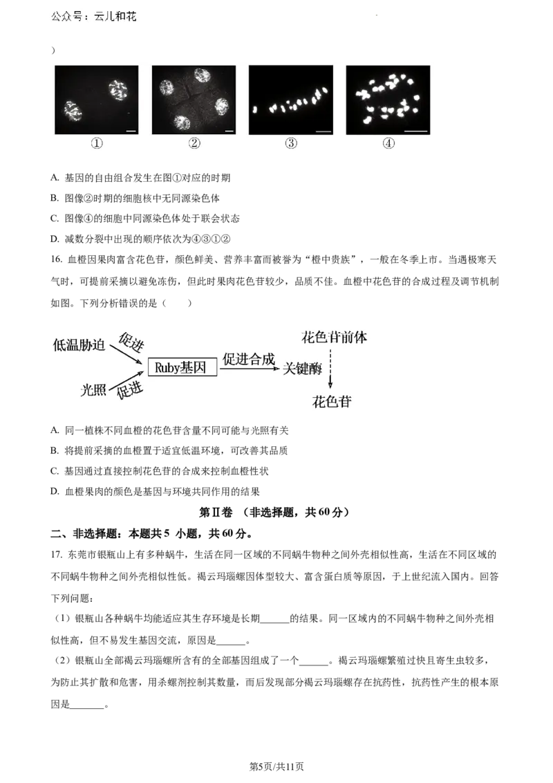 广东省东莞市2023-2024学年高一下学期7月期末生物试题_2024-2025高一（7-7月题库）_2024年8月试卷_0820广东省东莞市2023-2024学年高一下学期期末教学质量检查