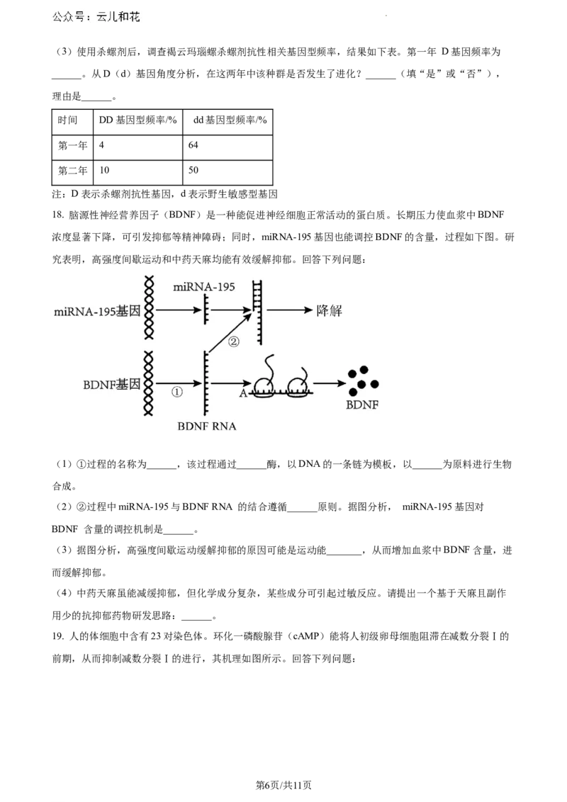 广东省东莞市2023-2024学年高一下学期7月期末生物试题_2024-2025高一（7-7月题库）_2024年8月试卷_0820广东省东莞市2023-2024学年高一下学期期末教学质量检查