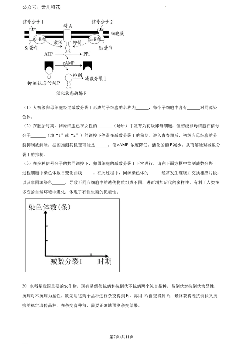 广东省东莞市2023-2024学年高一下学期7月期末生物试题_2024-2025高一（7-7月题库）_2024年8月试卷_0820广东省东莞市2023-2024学年高一下学期期末教学质量检查