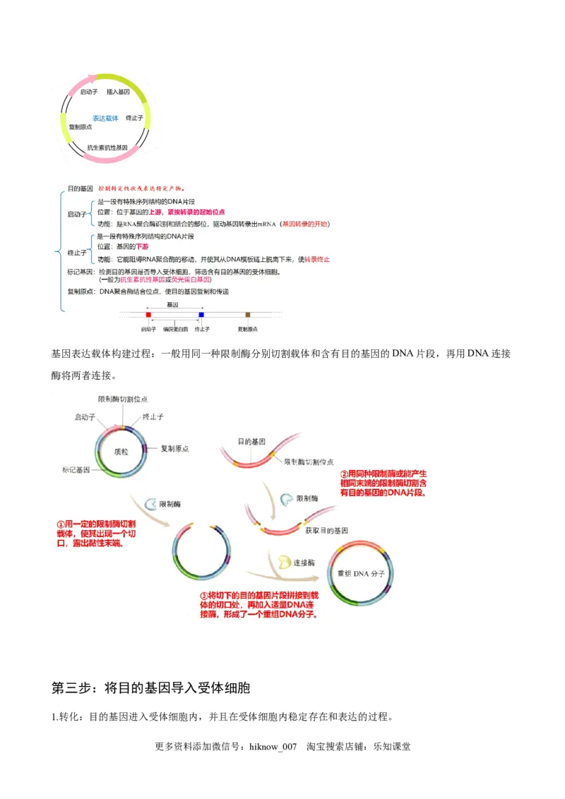 3.2基因工程的基本操作程序-2022-2023学年高二生物课后培优分级练（人教版2019选择性必修3）（解析版）_E015高中全科试卷_生物试题_选修3_2.同步练习_1.课后培优练2023