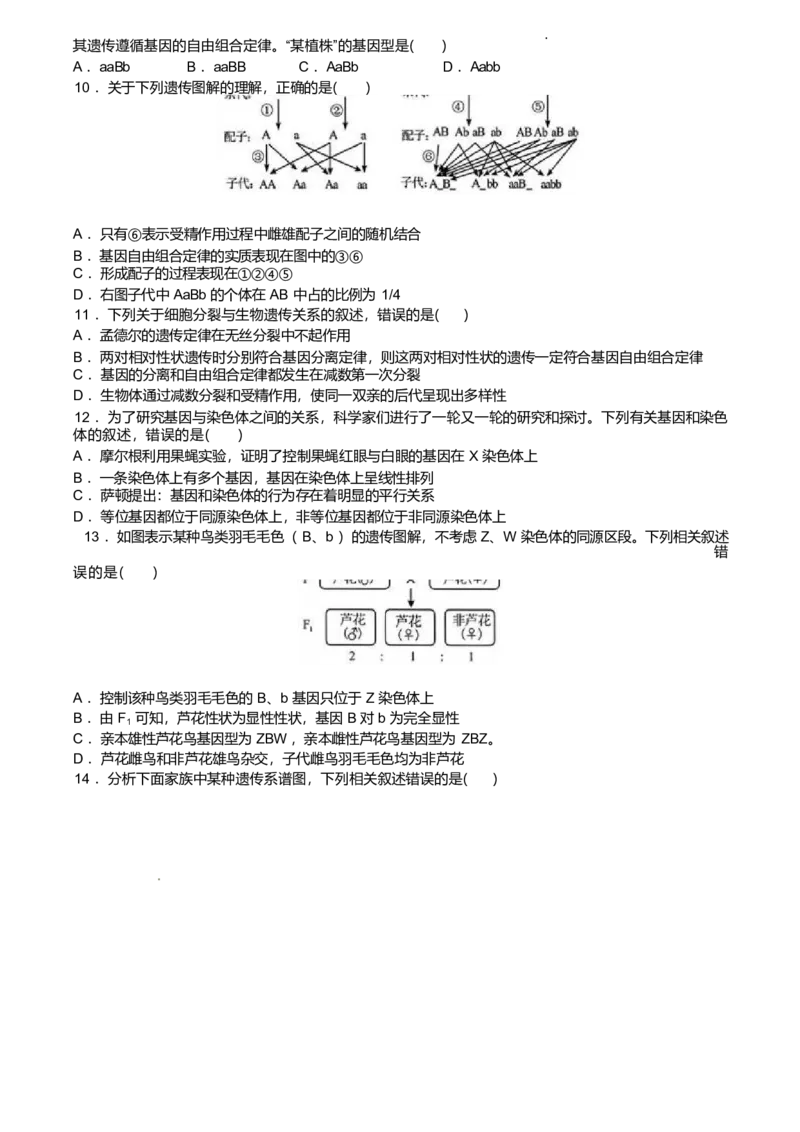 广东省惠州市五校2024-2025学年高一下学期第二次联考生物试卷（有答案）_2024-2025高一（7-7月题库）_2025年6月7.10新增_0603广东省惠州市五校2024-2025学年高一下学期第二次联考