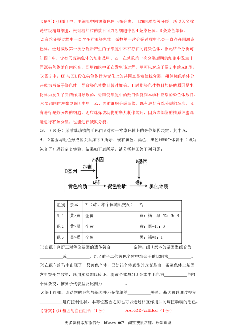 期末拔高卷3-冲刺期末高一生物下学期期末拔高冲刺卷（2019人教版）（解析版）_E015高中全科试卷_生物试题_必修2_4.期末试卷