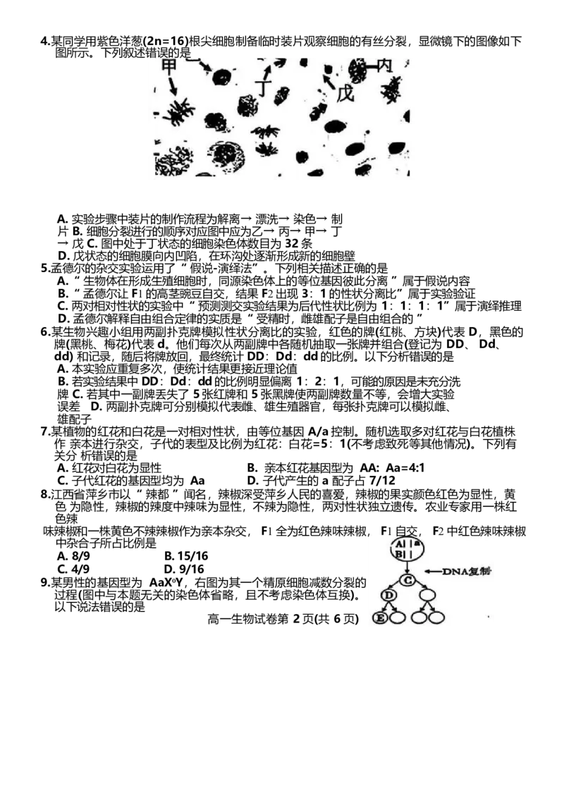 江西省萍乡市2024-2025学年高一下学期4月期中考试生物Word版含答案_2024-2025高一（7-7月题库）_2025年05月试卷_0521江西省萍乡市2024-2025学年高一下学期4月期中考试