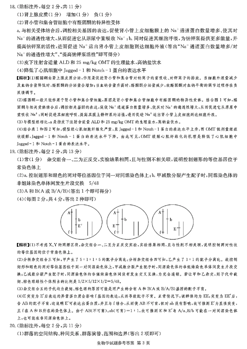 佩佩教育2024年普通高中学业水平选择性考试湖南3月高三联考卷生物答案(1)_2024年3月_013月合集_2024届湖南&bull;省佩佩教育高三3月联考卷