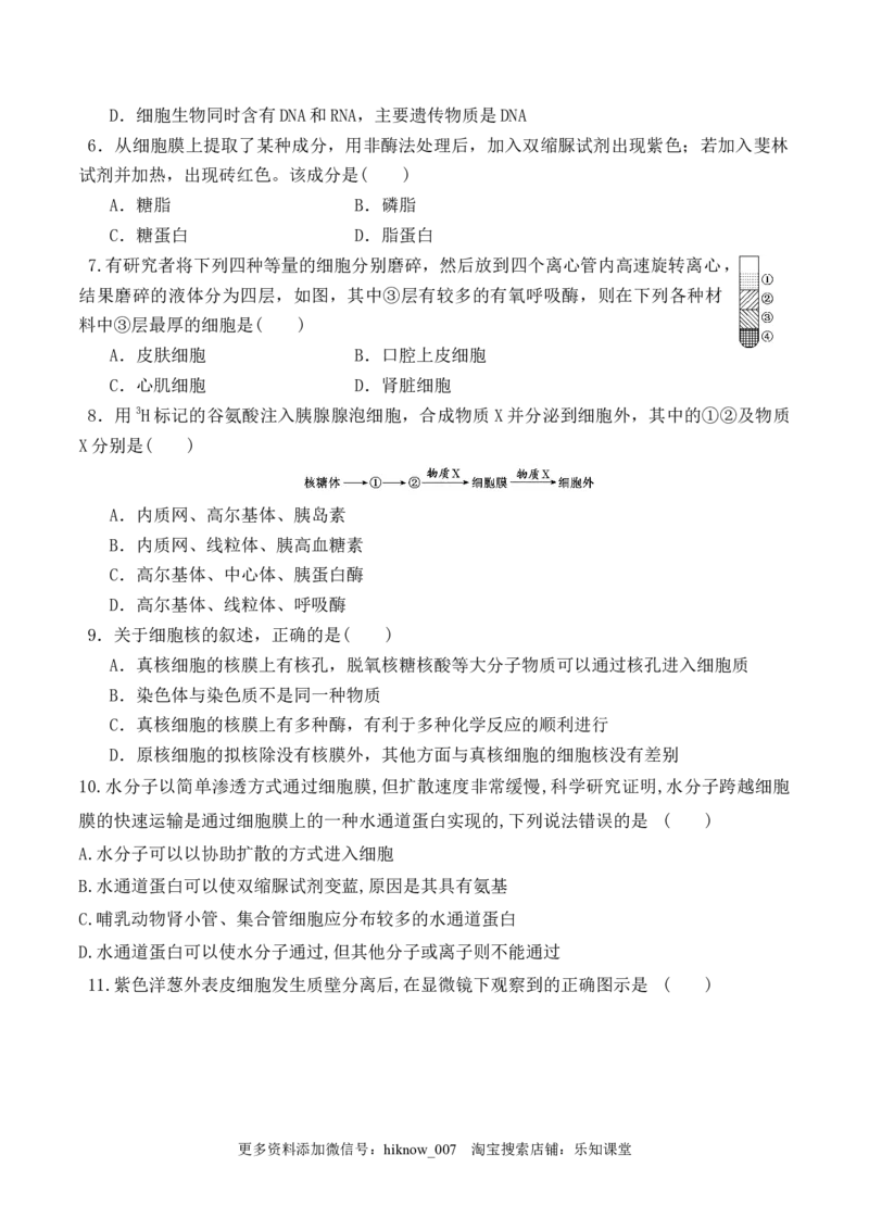 期末预测卷（二）-2022-2023学年高一生物上学期课后培优分级练（2019人教版必修1）（原卷版）_E015高中全科试卷_生物试题_必修1_2.同步练习_1.同步练习（第一套）