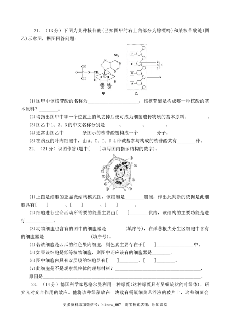 期末预测卷（二）-2022-2023学年高一生物上学期课后培优分级练（2019人教版必修1）（原卷版）_E015高中全科试卷_生物试题_必修1_2.同步练习_1.同步练习（第一套）