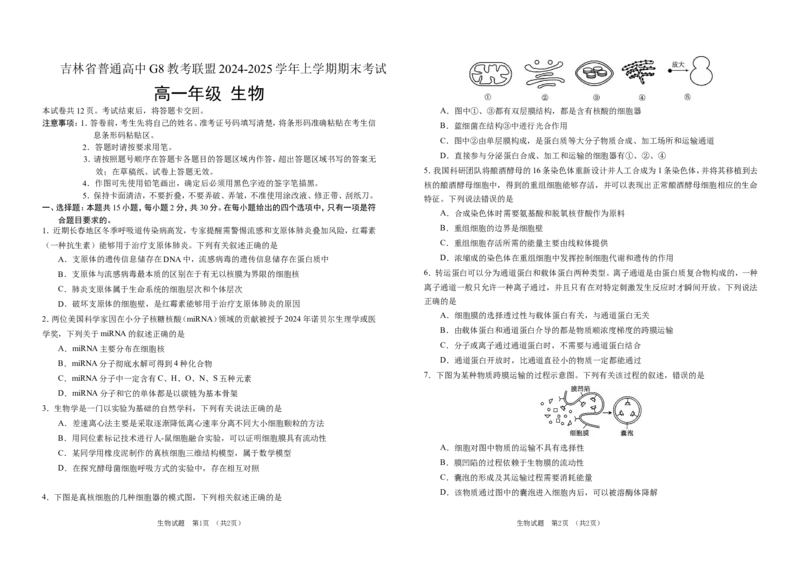 吉林省普通高中G8教考联盟2024-2025学年高一上学期期末考试生物试卷（含答案）(1)_2024-2025高一（7-7月题库）_2025年01月试卷_0112吉林省普通高中G8教考联盟2024-2025学年高一上学期期末考试
