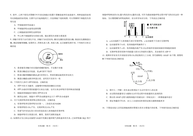 吉林省普通高中G8教考联盟2024-2025学年高一上学期期末考试生物试卷（含答案）(1)_2024-2025高一（7-7月题库）_2025年01月试卷_0112吉林省普通高中G8教考联盟2024-2025学年高一上学期期末考试