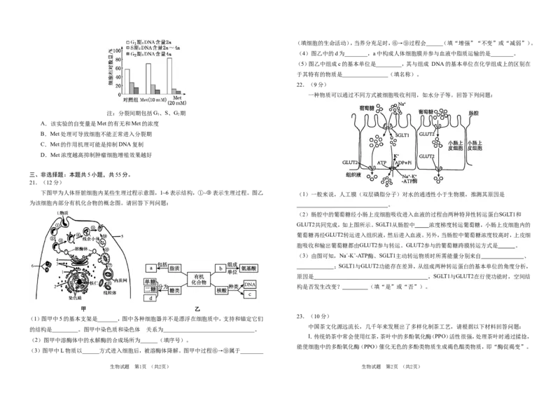 吉林省普通高中G8教考联盟2024-2025学年高一上学期期末考试生物试卷（含答案）(1)_2024-2025高一（7-7月题库）_2025年01月试卷_0112吉林省普通高中G8教考联盟2024-2025学年高一上学期期末考试