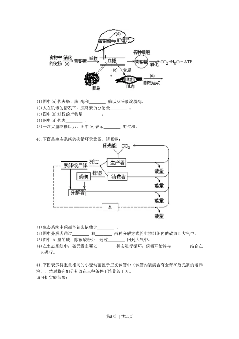 1990年四川高考生物真题及答案_生物高考真题试卷_旧1990-2007&middot;高考生物真题_1990-2007&middot;高考生物真题&middot;word_四川