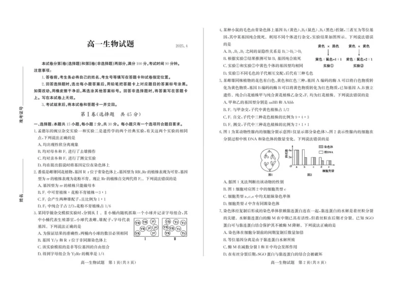 山东省德州市2024-2025学年高一下学期期中考试生物PDF版含答案_2024-2025高一（7-7月题库）_2025年05月试卷_0518山东省德州市2024-2025学年高一下学期期中考试