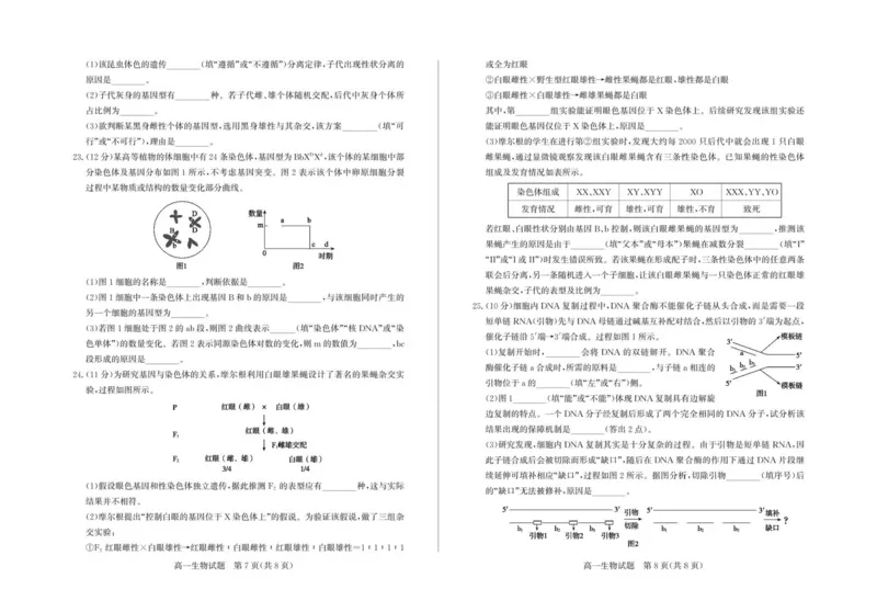 山东省德州市2024-2025学年高一下学期期中考试生物PDF版含答案_2024-2025高一（7-7月题库）_2025年05月试卷_0518山东省德州市2024-2025学年高一下学期期中考试