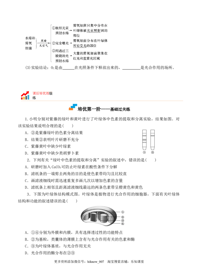 5.4.1捕获光能的色素和结构-2022-2023学年高一生物上学期课后培优分级练（2019人教版必修1）（原卷版）_E015高中全科试卷_生物试题_必修1_2.同步练习_1.同步练习（第一套）