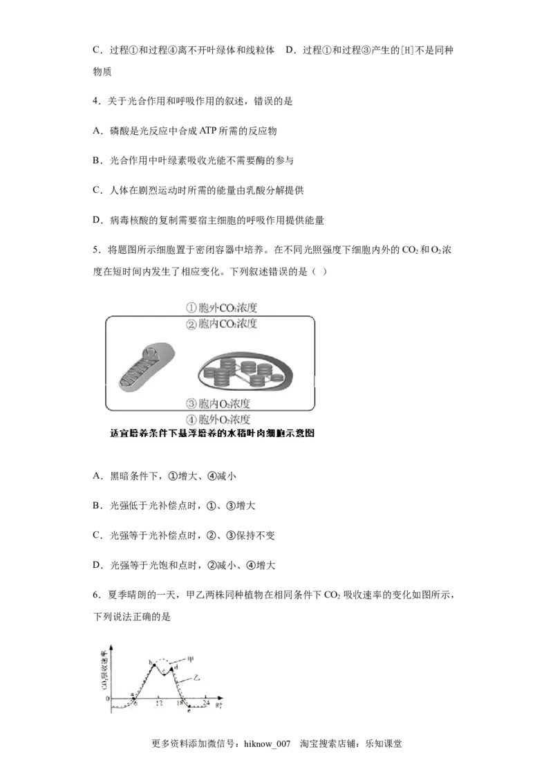 5.4.2光合作用与能量转换练习新教材人教版（2019）高中生物必修一_E015高中全科试卷_生物试题_必修1_2.同步练习_4.同步练习（第四套）