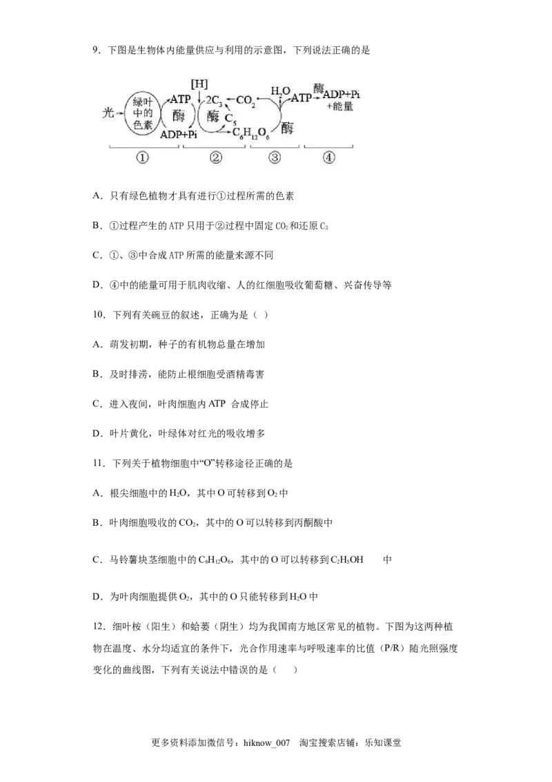 5.4.2光合作用与能量转换练习新教材人教版（2019）高中生物必修一_E015高中全科试卷_生物试题_必修1_2.同步练习_4.同步练习（第四套）