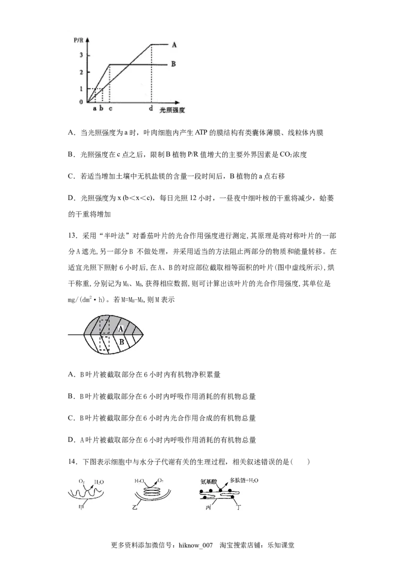 5.4.2光合作用与能量转换练习新教材人教版（2019）高中生物必修一_E015高中全科试卷_生物试题_必修1_2.同步练习_4.同步练习（第四套）