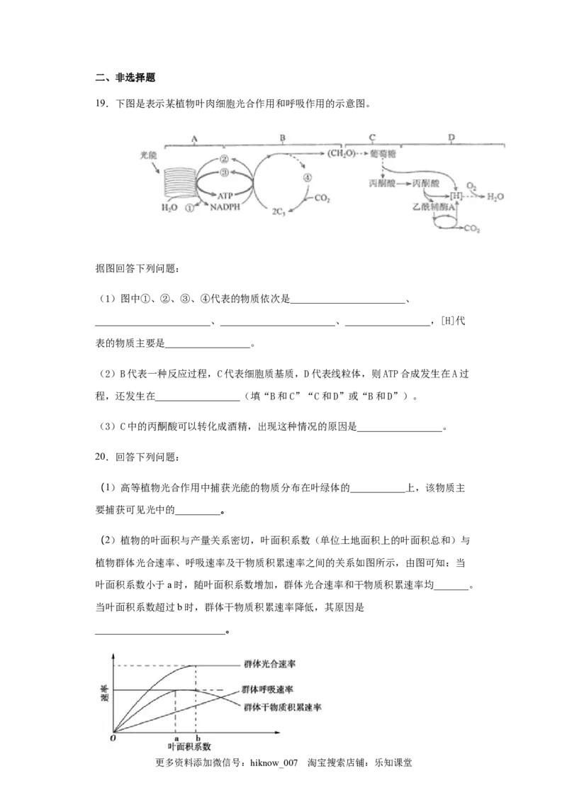 5.4.2光合作用与能量转换练习新教材人教版（2019）高中生物必修一_E015高中全科试卷_生物试题_必修1_2.同步练习_4.同步练习（第四套）