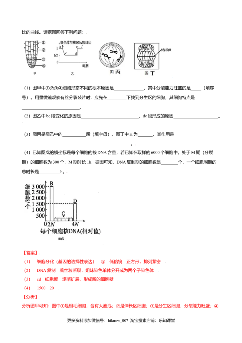 6.1细胞的增殖-高一生物课后培优练（人教版2019必修1）（解析版）_E015高中全科试卷_生物试题_必修1_2.同步练习_3.同步练习（第三套）