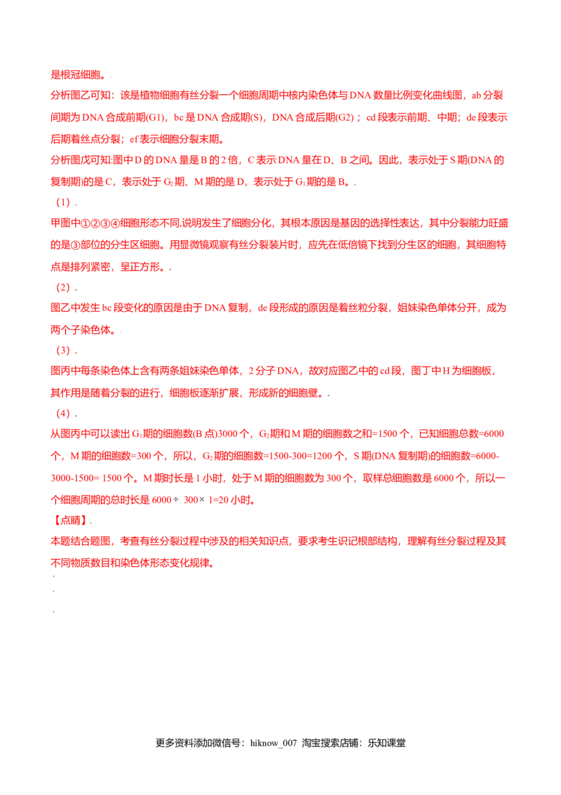 6.1细胞的增殖-高一生物课后培优练（人教版2019必修1）（解析版）_E015高中全科试卷_生物试题_必修1_2.同步练习_3.同步练习（第三套）