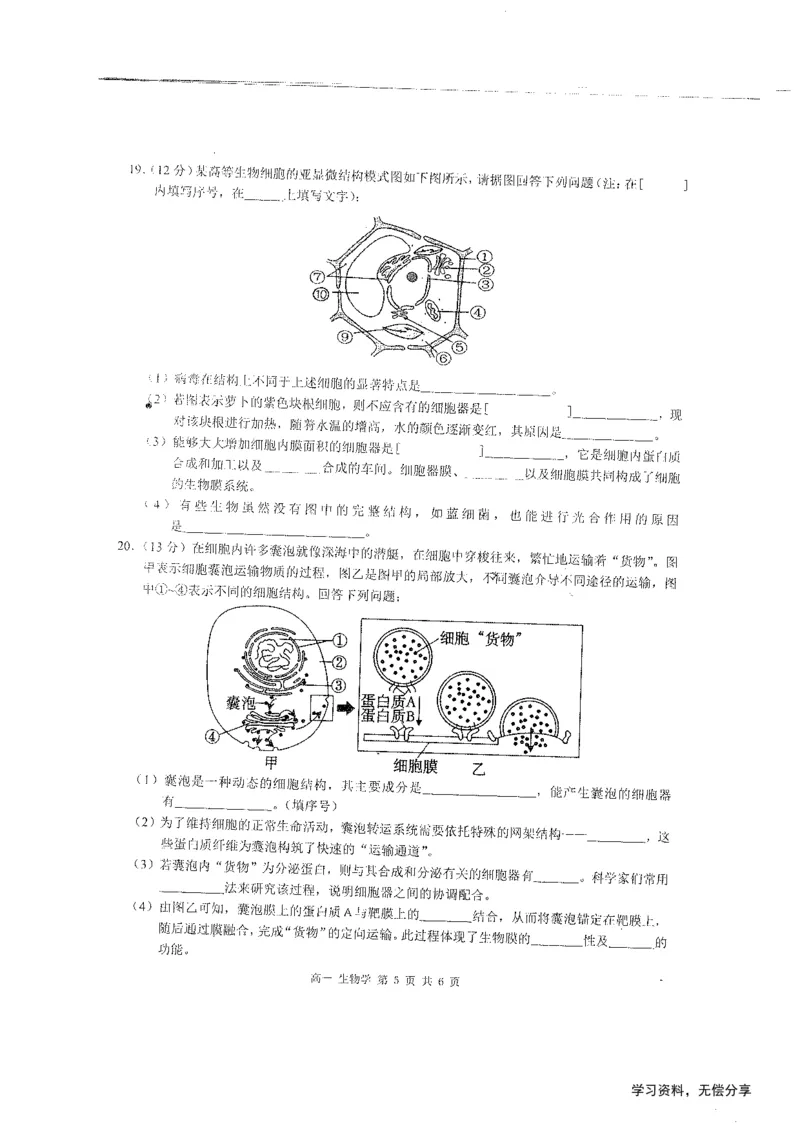 桂林2024年秋季期中联考高一生物试卷_2024-2025高一（7-7月题库）_2024年11月试卷_1115广西桂林2024-2025学年秋季期中高一联考
