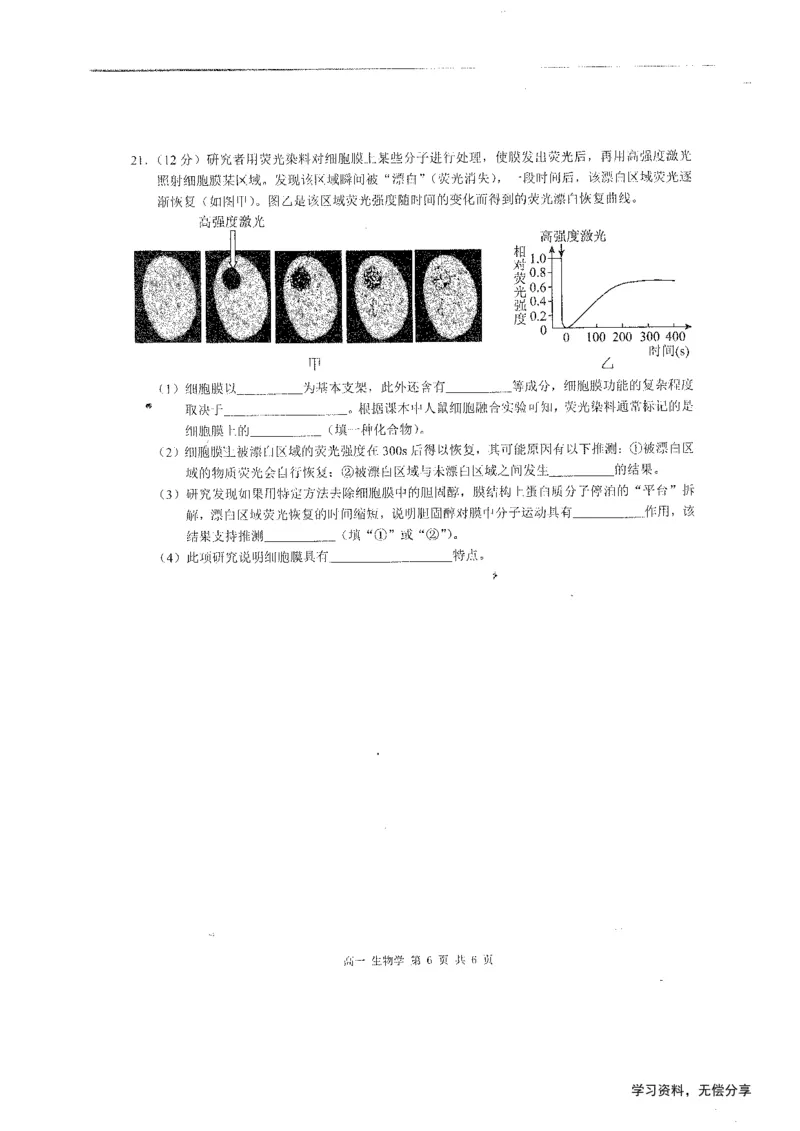 桂林2024年秋季期中联考高一生物试卷_2024-2025高一（7-7月题库）_2024年11月试卷_1115广西桂林2024-2025学年秋季期中高一联考
