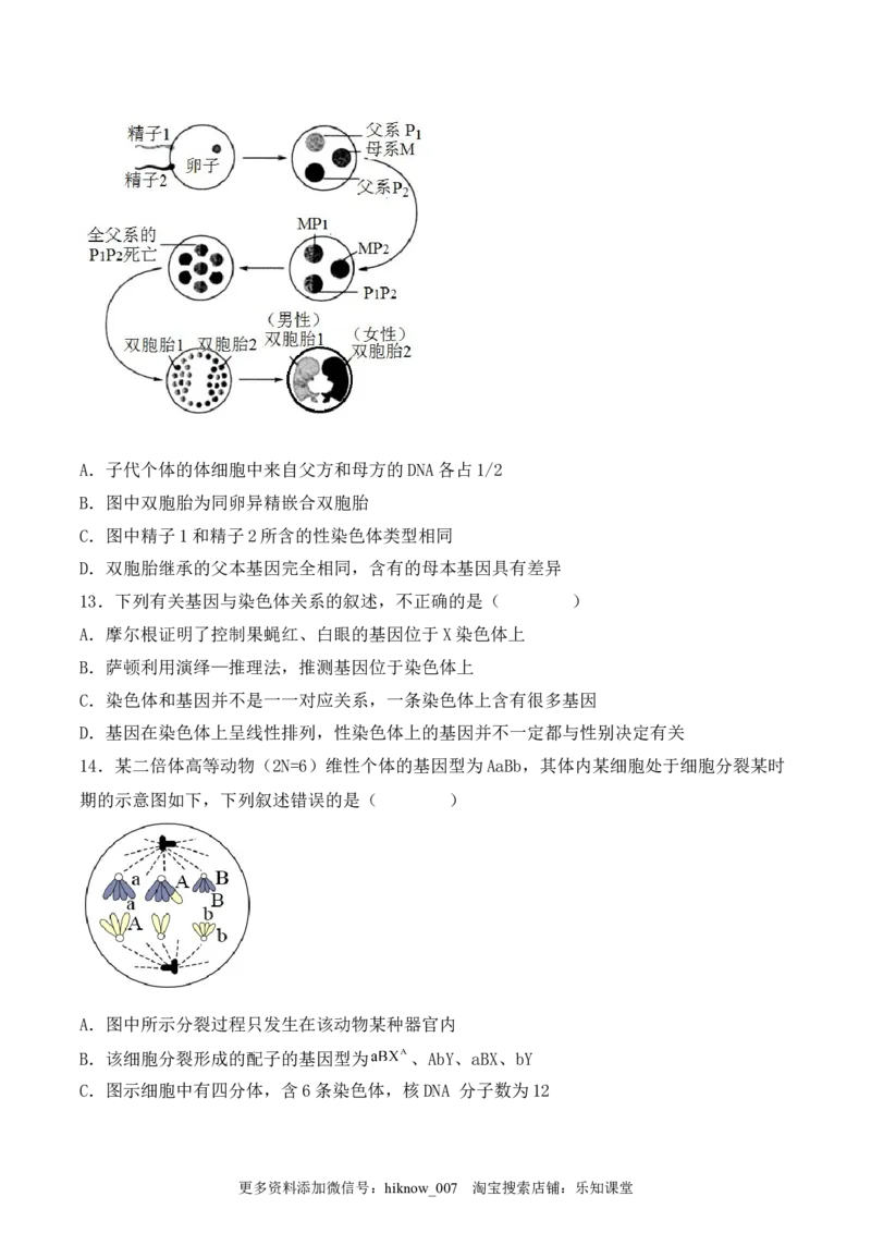 期中检测卷01（基础练）（考试范围：第1~3章）（原卷版）_E015高中全科试卷_生物试题_必修2_3.期中测试