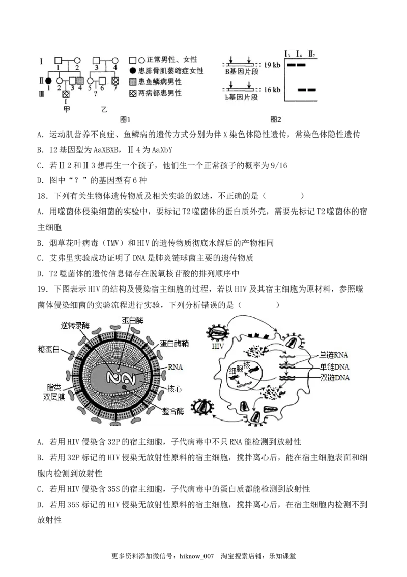 期中检测卷01（基础练）（考试范围：第1~3章）（原卷版）_E015高中全科试卷_生物试题_必修2_3.期中测试