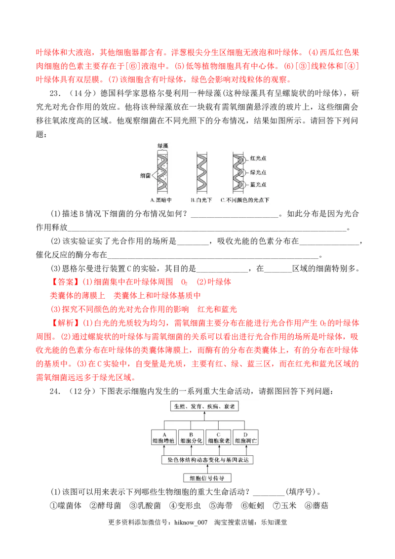 期末预测卷（二）-2022-2023学年高一生物上学期课后培优分级练（2019人教版必修1）（解析版）_E015高中全科试卷_生物试题_必修1_2.同步练习_1.同步练习（第一套）