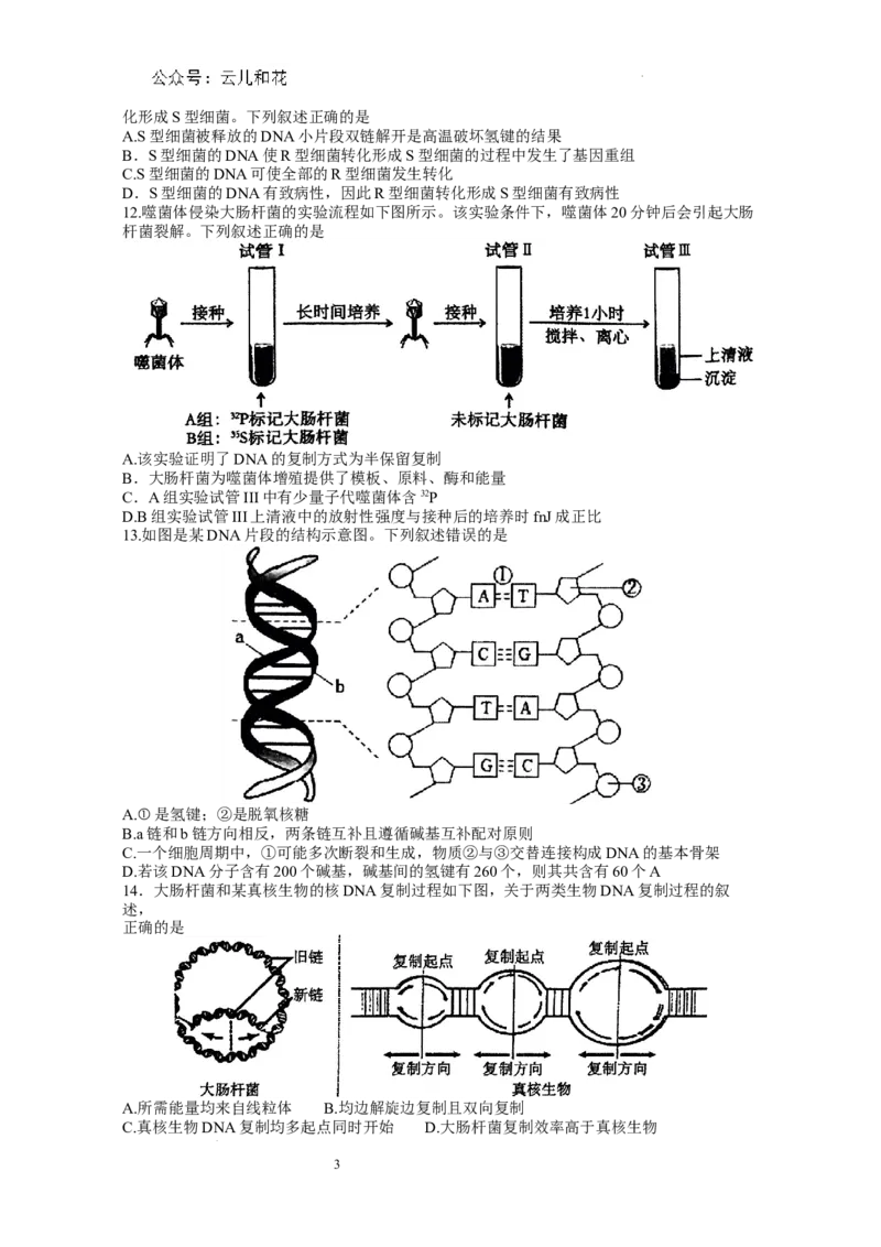 2024年春期期末高一生物参考答案_2024-2025高一（7-7月题库）_2024年8月试卷_0804河南省南阳市2023-2024学年高一下学期期末质量评估