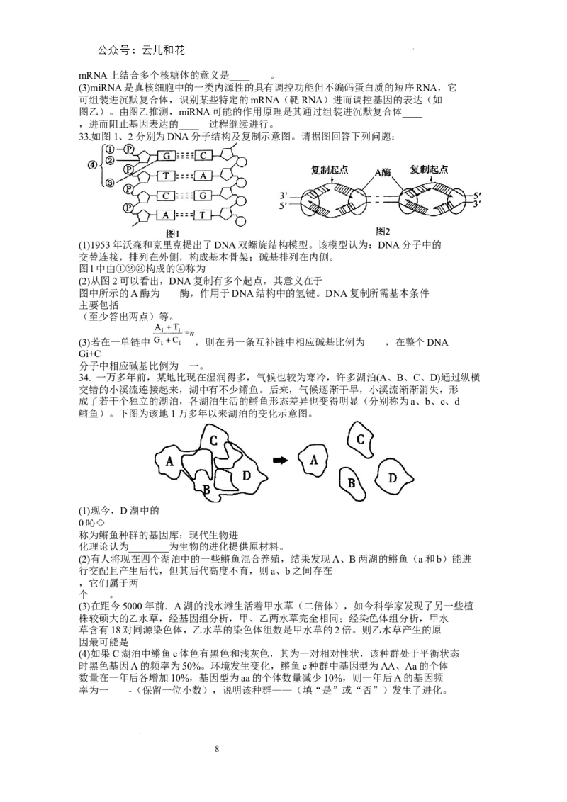 2024年春期期末高一生物参考答案_2024-2025高一（7-7月题库）_2024年8月试卷_0804河南省南阳市2023-2024学年高一下学期期末质量评估