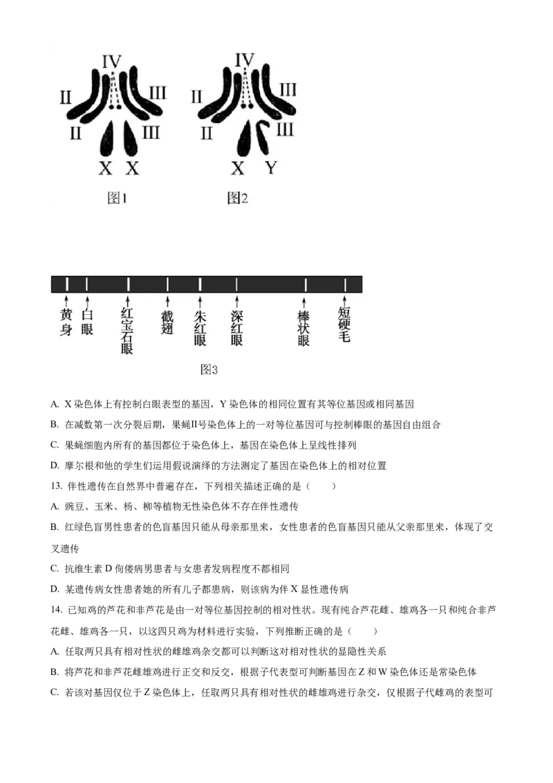 山东省名校联盟2024-2025学年高一下学期3月校际联考生物试题（有答案）_2024-2025高一（7-7月题库）_2025年04月试卷_0407山东省名校联盟2024-2025学年高一下学期3月校际联考试题