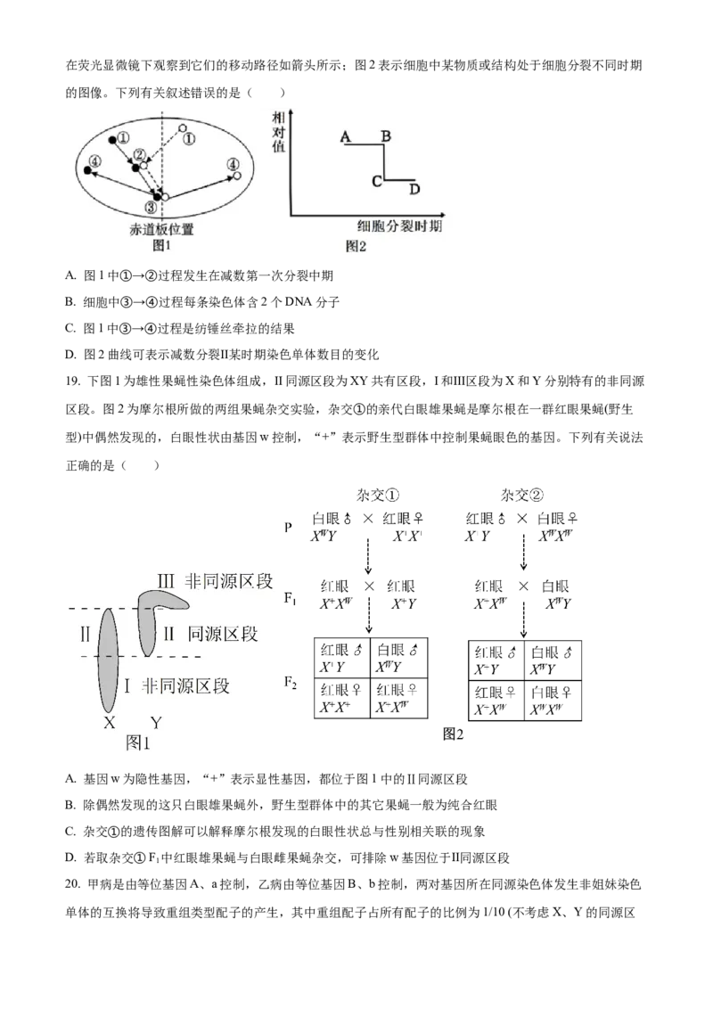山东省名校联盟2024-2025学年高一下学期3月校际联考生物试题（有答案）_2024-2025高一（7-7月题库）_2025年04月试卷_0407山东省名校联盟2024-2025学年高一下学期3月校际联考试题
