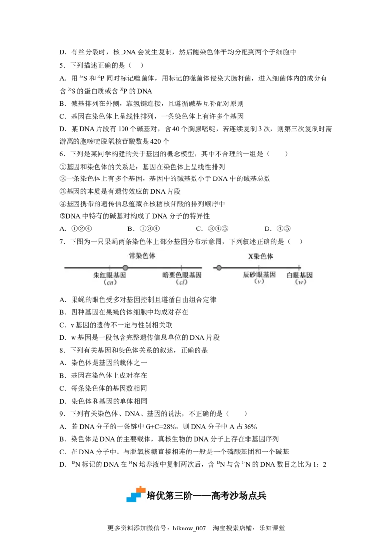 3.4基因通常是有遗传效应的DNA片段（原卷版）_E015高中全科试卷_生物试题_必修2_2.同步练习_2、课后培优练2023