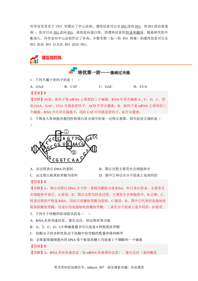 4.1基因指导蛋白质的合成（解析版）_E015高中全科试卷_生物试题_必修2_2.同步练习_2、课后培优练2023_4.1+基因指导蛋白质的合成-2022-2023学年高一生物课后培优分级练（人教版2019必修2）