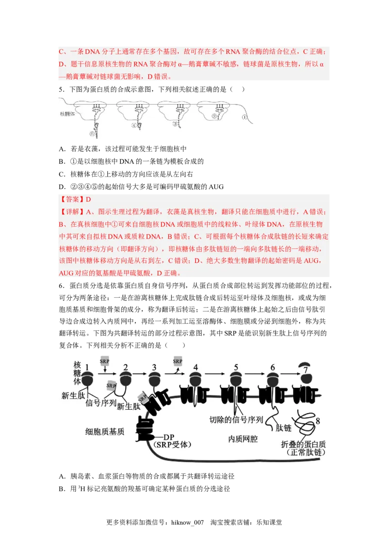 4.1基因指导蛋白质的合成（解析版）_E015高中全科试卷_生物试题_必修2_2.同步练习_2、课后培优练2023_4.1+基因指导蛋白质的合成-2022-2023学年高一生物课后培优分级练（人教版2019必修2）