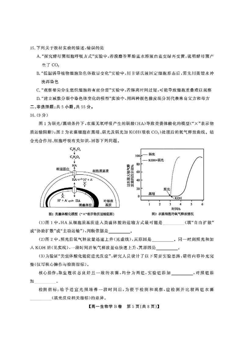 安徽省江淮协作区2024-2025学年高一下学期期末考试生物（B）含答案_2024-2025高一（7-7月题库）_2025年7月_250713安徽省江淮协作区2024-2025学年高一下学期期末联合监测