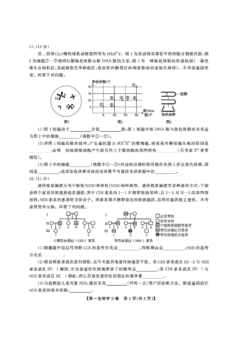 安徽省江淮协作区2024-2025学年高一下学期期末考试生物（B）含答案_2024-2025高一（7-7月题库）_2025年7月_250713安徽省江淮协作区2024-2025学年高一下学期期末联合监测